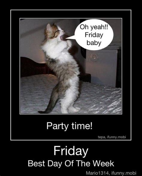 Friday Pictures Oh Yeah Its Friday Kitten Funny Cute