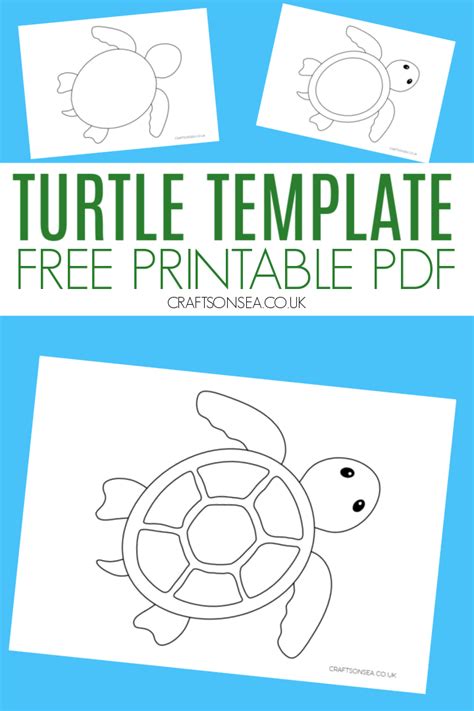 turtle template  printable  crafts  sea