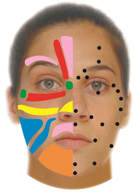 facial reflexology williamstown reflexology bowen therapy