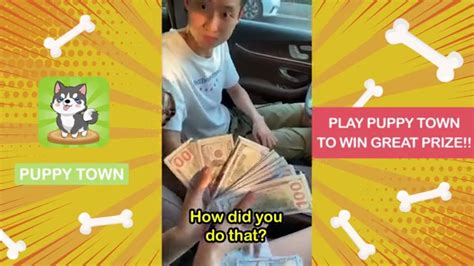 play puppy town  win great prize rscams