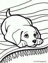 Puppy Everfreecoloring sketch template