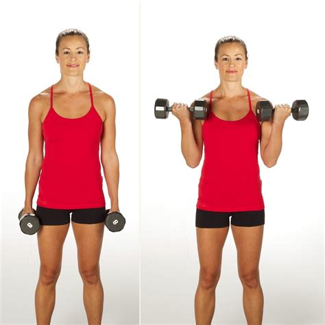 Biceps Curls How To Strengthen Your Arms Popsugar Fitness Photo 3