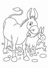 Donkey Coloring Books Pages sketch template