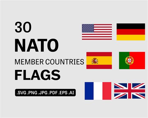 nato member countries flags svg bundle set country nation etsy