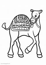 Camello sketch template