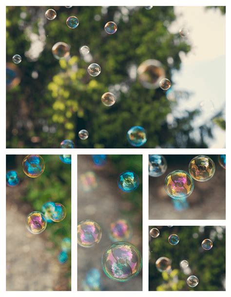 bubbles onestarrynightcom