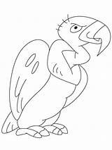 Condor Condors sketch template