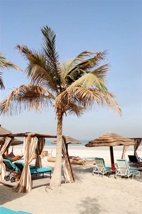 beach   luxury hotel stock photo image  umbrella