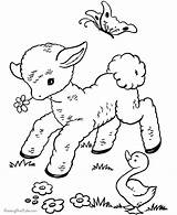 Easter Pages Printable Coloring Lamb Tt Team Happy Spring Print sketch template