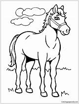 Beautiful Horse Pages Coloring Color Online Printable sketch template