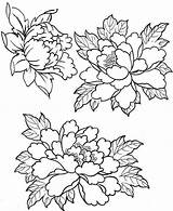 Patterns Embroidery Peony Tattoo Coloring Drawing Pages Flower Drawings рисунки Painting пионов Fabric Peonies Sketch рисунок Silk Template для Flowers sketch template