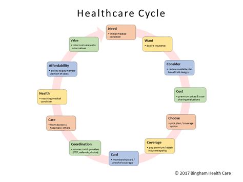 overview   united states healthcare system bingham health care