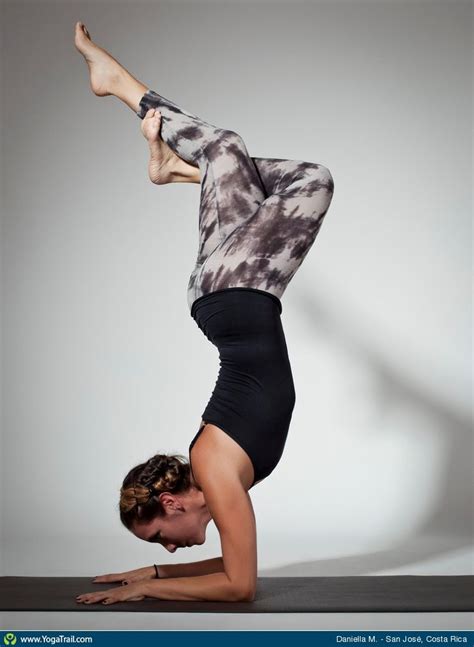 forearm balance yoga pose asana image  daniellamunoz