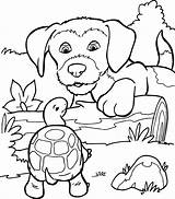 Puppy Honden Moeilijke Dieren Hond Uitprinten Kleur Kids Platen Tekenen Animals Downloaden sketch template