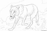 Wolf Coloring Pages Printable Wild Running Realistic Dog Print Color Drawing Animal Forest Getdrawings Drawings Info sketch template