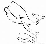 Whale Wal Cool2bkids sketch template