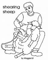 Shearing Farm sketch template