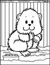 Coloring Pages Hamster Kids Colouring Cage Comments Coloringhome sketch template
