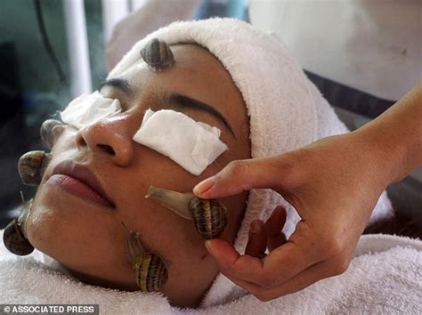 inside thailand spa where snails massage your face with mucus to fight acne daily mail online