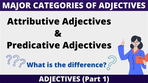 attributive adjectives  predicative adjectives youtube