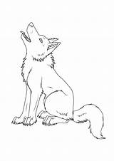 Loup Ausmalbilder Coloriages Loups Wölfe Amis Essaye Appeler Malvorlagen Drawings Enfants sketch template