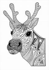 Ausmalen Kleurplaat Reindeers Favecrafts Colouring Zen Adulte Adultcoloring sketch template