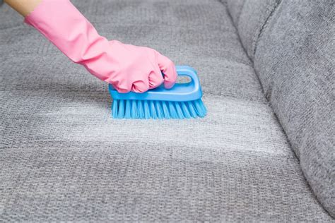 How To Clean And Disinfect A Sofa Cleanipedia
