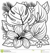 Coloring Pages Exotic Flower Printable Adult Getcolorings Inspiring Color sketch template