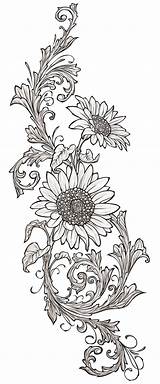 Burning Wood Sunflower Flower Patterns Flowers Stencils Drawing Pattern Sunflowers Designs Coloring Tattoo Stencil Pyrography Tattoos Pages Wolf Vine Printable sketch template