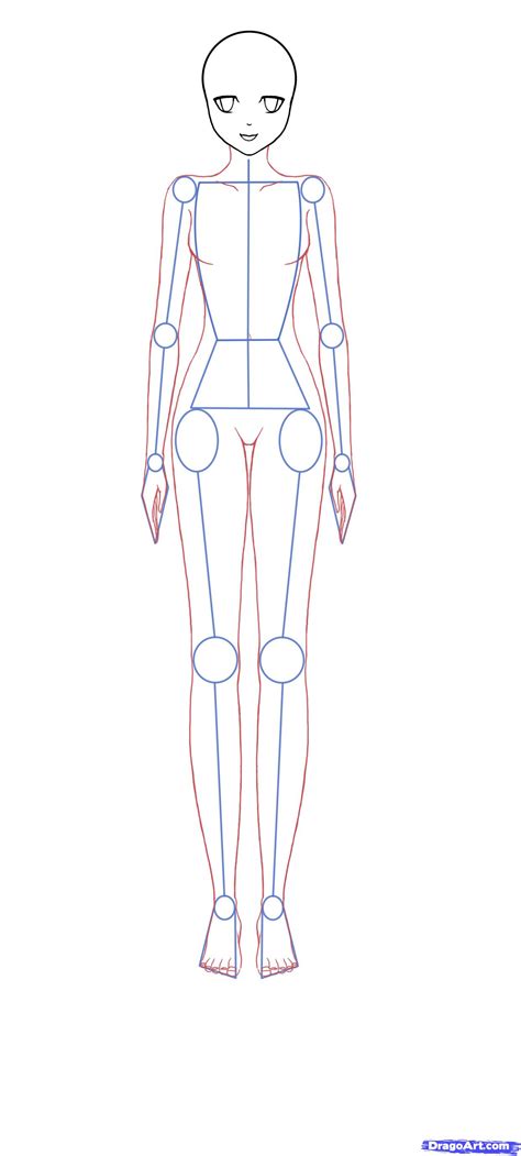 How To Draw Anime Bodies Step By Step Anime Females
