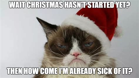Grumpy Cat Humor Funny Cat Memes Funny Cats Grumpy Cat Christmas