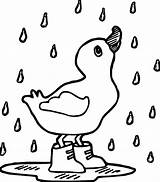 Coloring Ducks Getdrawings Rain sketch template