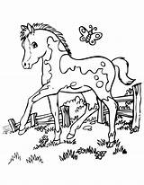 Horse Pages Coloring Printable Realistic Colouring Library Clipart Cute sketch template