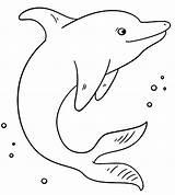 Golfinhos Golfinho Desenho Molde Fazer sketch template