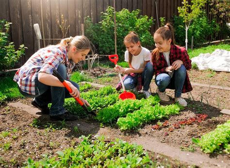 wsmagnet blog  tips  engaging  children  gardening