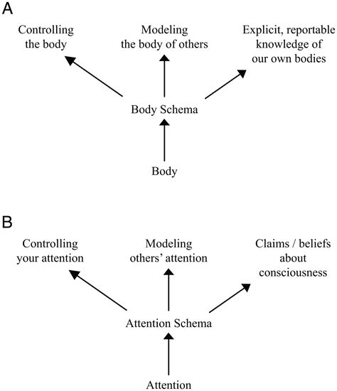 conceptual framework  consciousness pnas