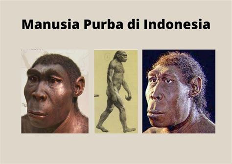 manusia purba indonesia mandala sejarah