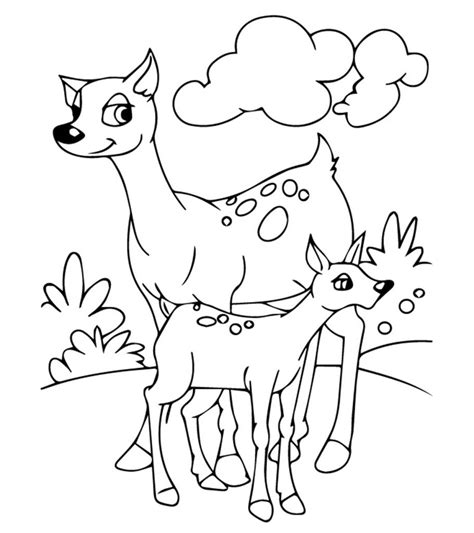 top   printable coloring pages  animals