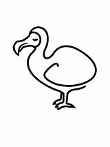 Dodo Bird Draw Coloring Drawing Pages Netart Colouring Getdrawings sketch template