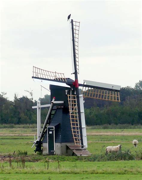de waal texel molen de kemphaan nederlandse molendatabase
