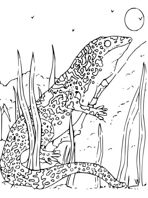images  animal habitat coloring pages animal cage