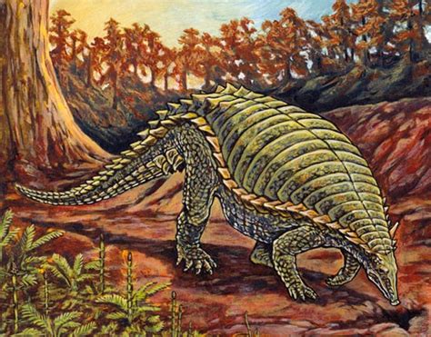 the forgotten archosaurs typothorax