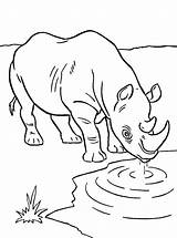 Neushoorn Nashorn Rhinoceros Ausmalbilder Afrikaanse Rhino Fun Malvorlagen Afrikanisches sketch template