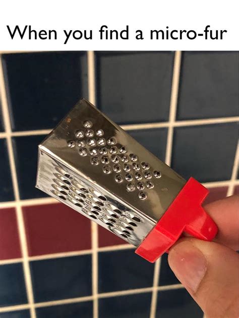 When You Find A Micro Fur The Cheese Grater Image Know