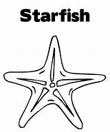 Coloring Starfish Pages Choose Board Color sketch template