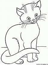 Coloring Cat Kitten Pages Realistic Outline Popular Coloringhome Comments sketch template