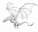 Draw Realistic Mythical Improveyourdrawings sketch template
