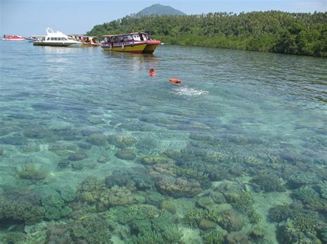 manado a world class destination for divers
