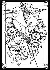 Coloring Pages Dover Adult Glass Stained Birds Hummingbird Publications Bird Book Para Colorear Books Pajaros Beautiful Doverpublications Color Freebie Mated sketch template