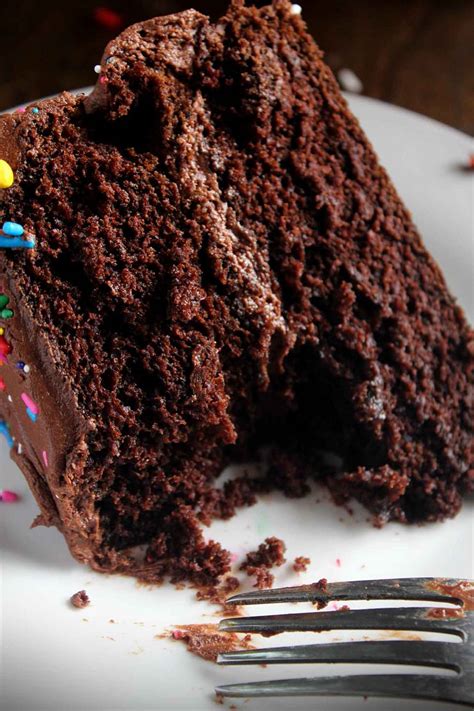 classic chocolate birthday cake wyldflour